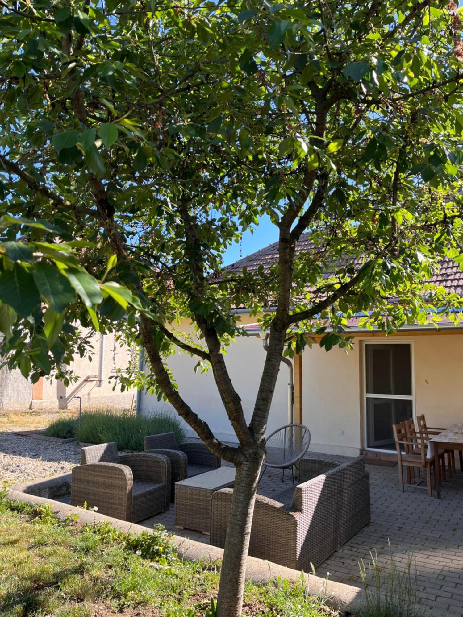 Angelina Vendeghaz Apartment Tarcal Ngoại thất bức ảnh